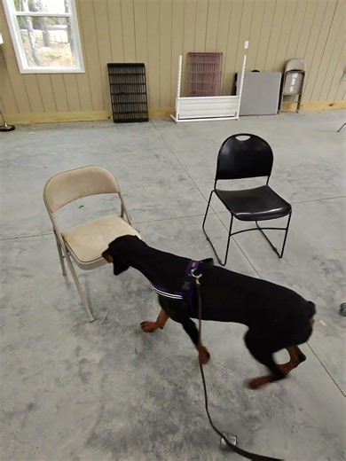 Vila SW Spring 2026 Wk2 1