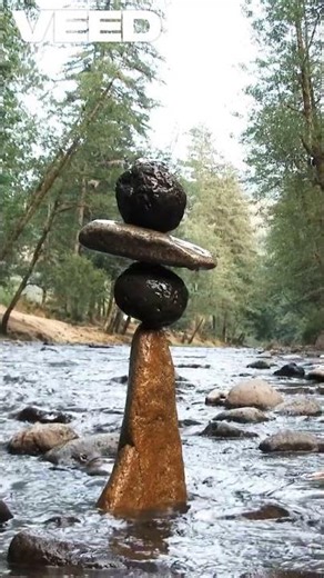 how cohesive force and adhesive force work 🔥🔥🤯#sciencefacts #physics #shorts