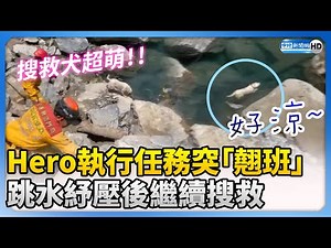 【0403地震DAY9】超萌！搜救犬Hero執行任務突「翹班」 跳水紓壓後續搜尋新加坡夫妻 ‪@ChinaTimes‬