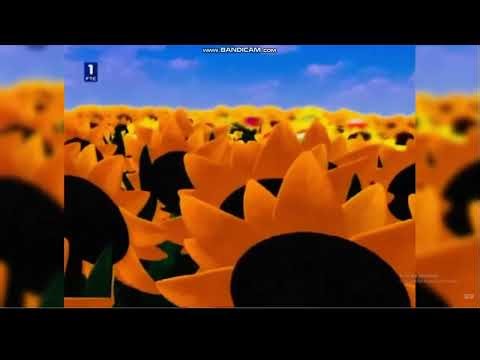 RTS 1 Idents 2001-2014