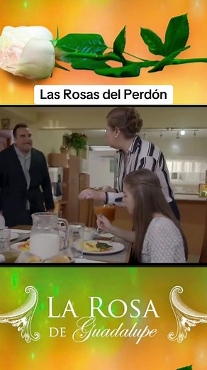 Las Rosas del Perdón: Drama y Oportunidad
