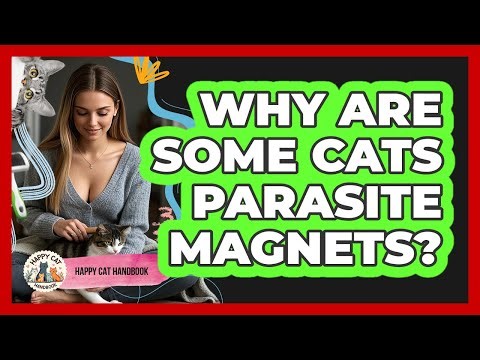 Why Are Some Cats Parasite Magnets? - Happy Cat Handbook