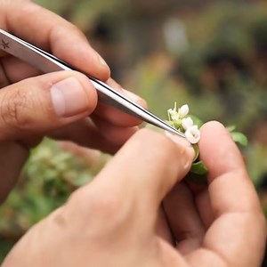 20 reactions · 3 comments | Today, we celebrate 109 years of...