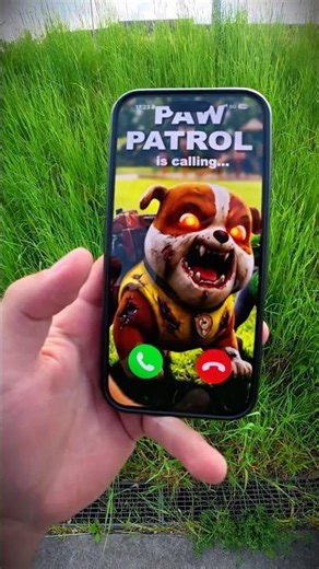 PAW PATROL IS CALLING MEM MEN