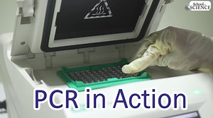 2.5K views · 74 reactions | PCR in action Curious how scientists use tiny DNA samples to diagnose COVID-19? The answer is Polymerase Chain Reaction (PCR), a technique that makes millions of copies of a specific DNA sequence. Watch our latest video to learn more about this revolutionary method! | BMS Campus | Facebook
