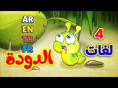 الدودة باللغات الأربع ( العربية - الإنجليزية - التركية - الفرنسية ) طيور بيبي Toyor Baby