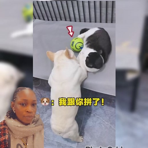 I do not have 🤣🤣🤣🤣copyright to this video. | Rebecca Godwin