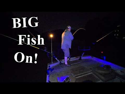 Massive Flathead Catfish Caught Night Fishing with RediRig Bobbers!