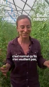 2.8M views · 12K reactions | À la ferme du Conservatoire du goût, le projet est simple : sauver les saveurs perdues des tomates, courges et d'autres variétés végétales. Tout pour le goût. Rachel nous fait visiter. | Brut | Facebook