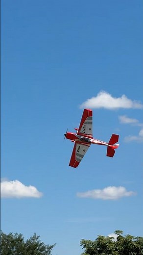 Sleek Looks, Wood Built Precision, and BNF Convenience! | E-flite Eratix 3D SWS 1.6m (64”)