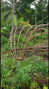 3.4K views · 53 reactions | Permaculture Design Course Day 8: Applied...