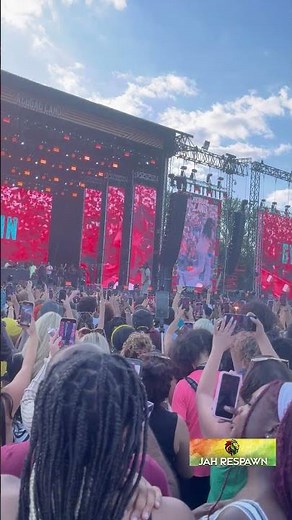 Gyptian Delivered His Biggest Hits And The Crowd Went Wild #reggae #festival #shorts