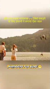 झील का राक्षस मगरमच्छ 😨 जिसे पकड़ने के लिए इंसानों ने लगाया ऐसा जाल#viralvideo