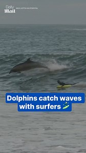 256K views · 2.1K reactions | They are just showing off  | Daily Mail Video | Facebook