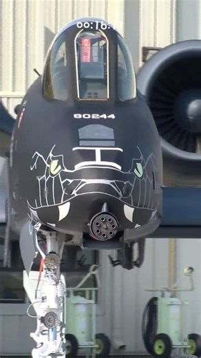 A-10 Thunderbolt II with "Blacksnake" Special Paint
