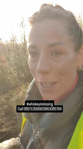 Yvonne Heaney, MA, BA, HDip., Dip. on Instagram: "Help us find Whiskey"