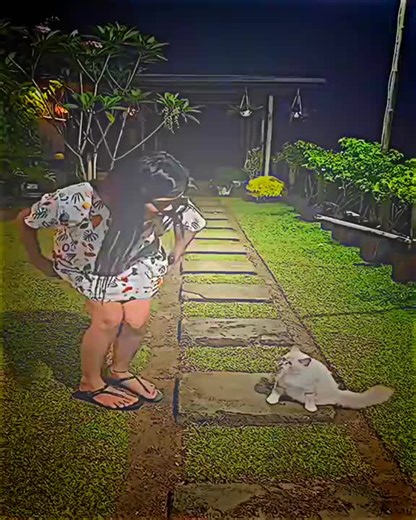 Trending Funny Clips That Went Viral