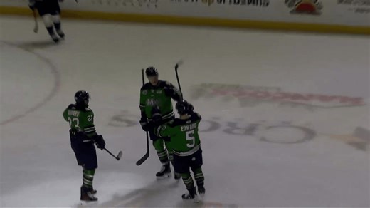 Maine Mariners extend point streak despite shootout loss to Worcester