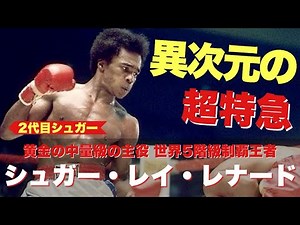 【なんだこの速さ】シュガー・レイ・レナード ハイライト