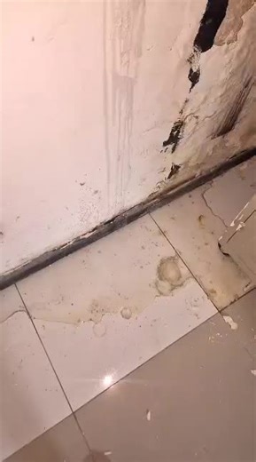 The Masters on TikTok