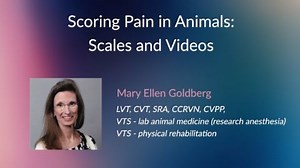 Scoring Pain in Animals | VetScope