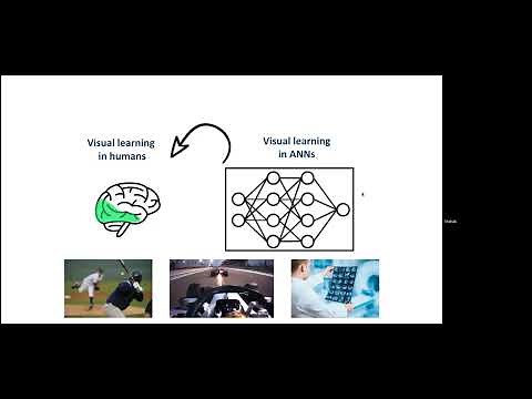 Generalization in perceptual learning : From humans to artificial neural networks and back