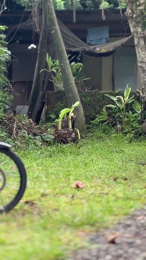 Raider 150 FI: The Ultimate Guide to Setup and Design