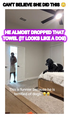 he almost dropped the towel after getting scared 😭😳#viral #shorts #trending #funny #youtubeshorts