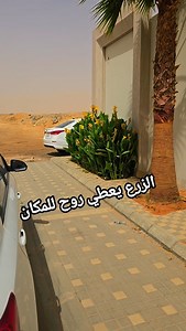 10K reactions · 175 shares | تابعونا لكل جديد للتواصل 0541611177...