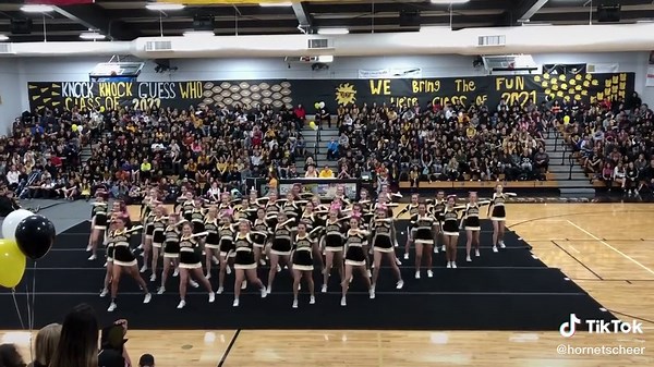 hornetscheer on TikTok