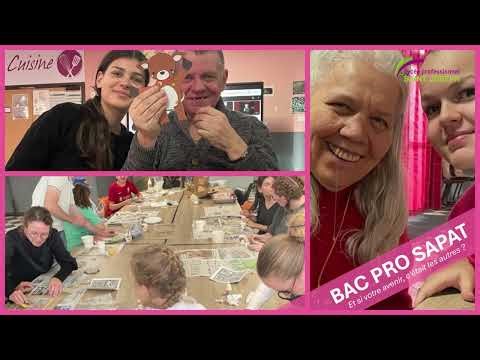 BAC pro Services à la personne et animation dans les territoires