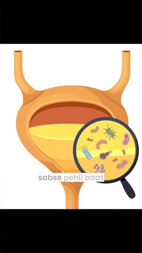 Treatment of UTI Resistance