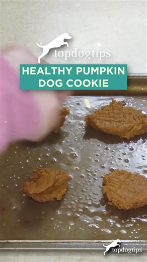 11 reactions |  Cookies your pup can actually enjoy! This healthy homemade dog cookie recipe is crunchy, wholesome, and 100% tail-wag approved. Because treating your dog should always be guilt-free.  ️ Watch now + grab the full recipe here: https://topdogtips.com/healthy-dog-cookie-recipe/ #HealthyDogCookies #HomemadeDogTreats #HealthyDogSnacks #DogMomLife #DogDadLife #TopDogTips | Top Dog Tips | Facebook