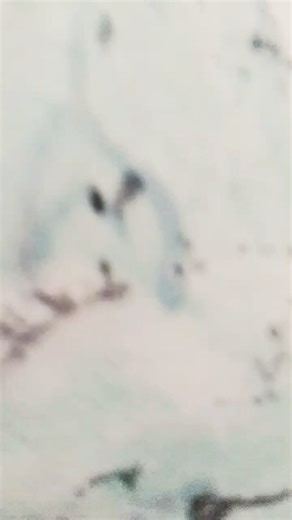 l did a cool loop#cross #jesus #faith #loop #shorts #trending