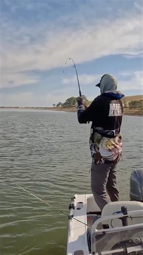 This is Why We Fish! Golden Perch Madness 🤯