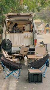 75K views · 336 reactions | Cat : CEO working #coffee #streetcoffee | findgoodmorning.coffee | Facebook