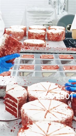 Producción de Pasteles: Equipos y Máquinas Necesarias