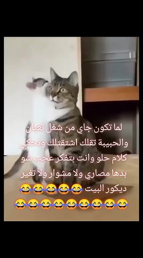 روعاتك ياانااا😂🤪👍😋