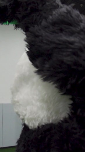 Quick Panda trick shot 🐼 #DudePerfect #trickshot | Dude Perfect