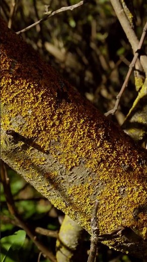 Rural landscapes of southern Spain #nature #forest #countryside #field