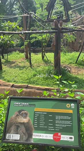 Menikmati Keindahan Alam melalui Wisata Binatang di Bandung
