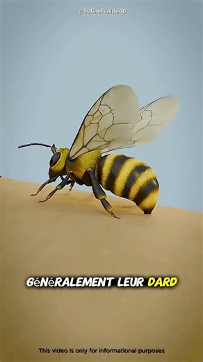 Piqûre d’abeille : que faire immédiatement ? Astuce simple et rapide ! 🧼🐝#shorts