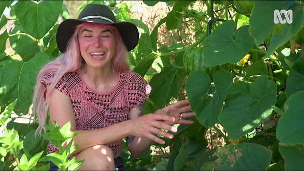 Top Tip | Vertical Pumpkins - Gardening Australia