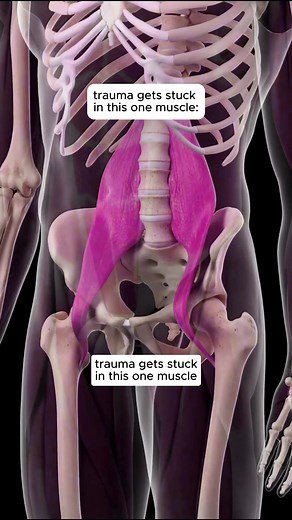 Release Trauma Stuck in Your Psoas Muscle