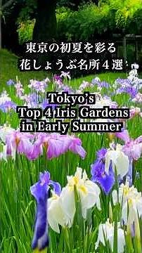 東京の初夏を彩る花しょうぶ名所４選 Tokyo’s.Top 4 Iris Gardens in Early Summer 東京観光 梅雨 #花菖蒲#東京観光#IrisGardens