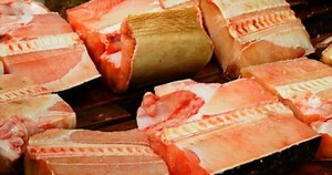 Diving into Flavor: What Does Shark Meat Taste Like? 2025