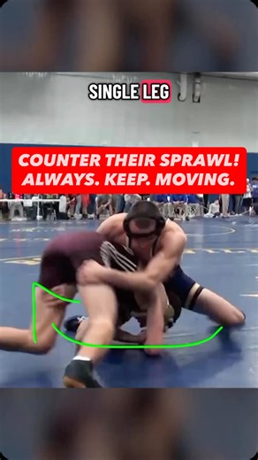 Merge Grappling on Instagram: "If your opponent sprawls on your single leg attempt you need to keep moving! One option ⬇️ ✅ Tripod on your toes and circle towards the single leg ✅ Drop your knee behind the near ankle to avoid them squaring up ✅ Chase far leg/ankle and drive 💡 If they have a shin whizzer you can shelf the leg ❌ DO NOT reach around the hip! @michaeltrasso 2011 vs University of Southern Maine #wrestling #usawrestling #ncaawrestling #collegewrestling #takedown"