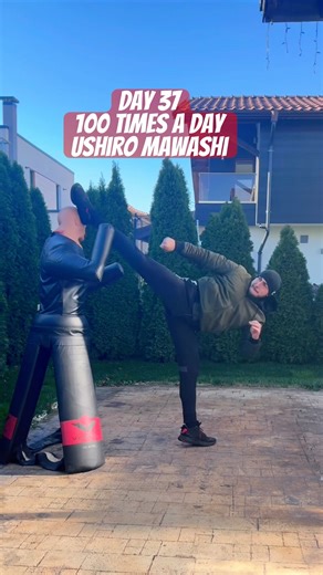 Day 37/365 | Ushiro Mawashi Geri Power 💥 | 100 Kicks a Day Challenge