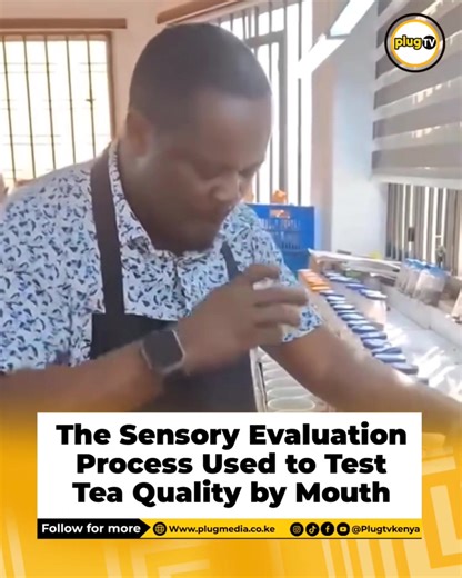 7.4K views · 19 reactions | Tea experts rely on a process known as sensory evaluation to assess the quality of tea through taste, aroma, and mouthfeel. During this procedure, trained tasters sip and swirl the tea to analyze its flavor profile, strength, and overall balance before giving it a final grade. The method ensures only the finest teas meet market standards and consumer expectations. | Plugtvkenya | Facebook