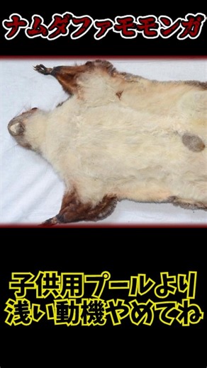 3回目の紹介！！（クオリティは落ちた）幻のモモンガについて解説 #ゆっくり解説 #閲覧注意 #衝撃の事実#shorts